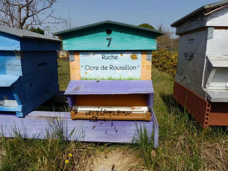 La ruche Ocre de Roussillon