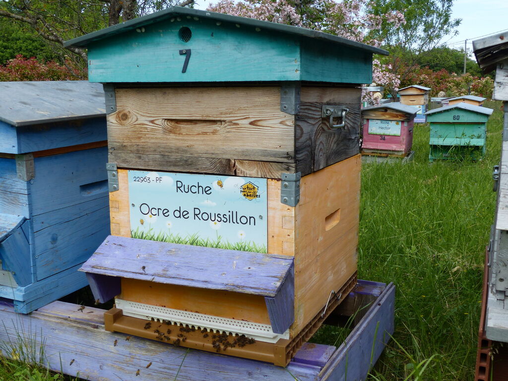 La ruche Ocre de Roussillon