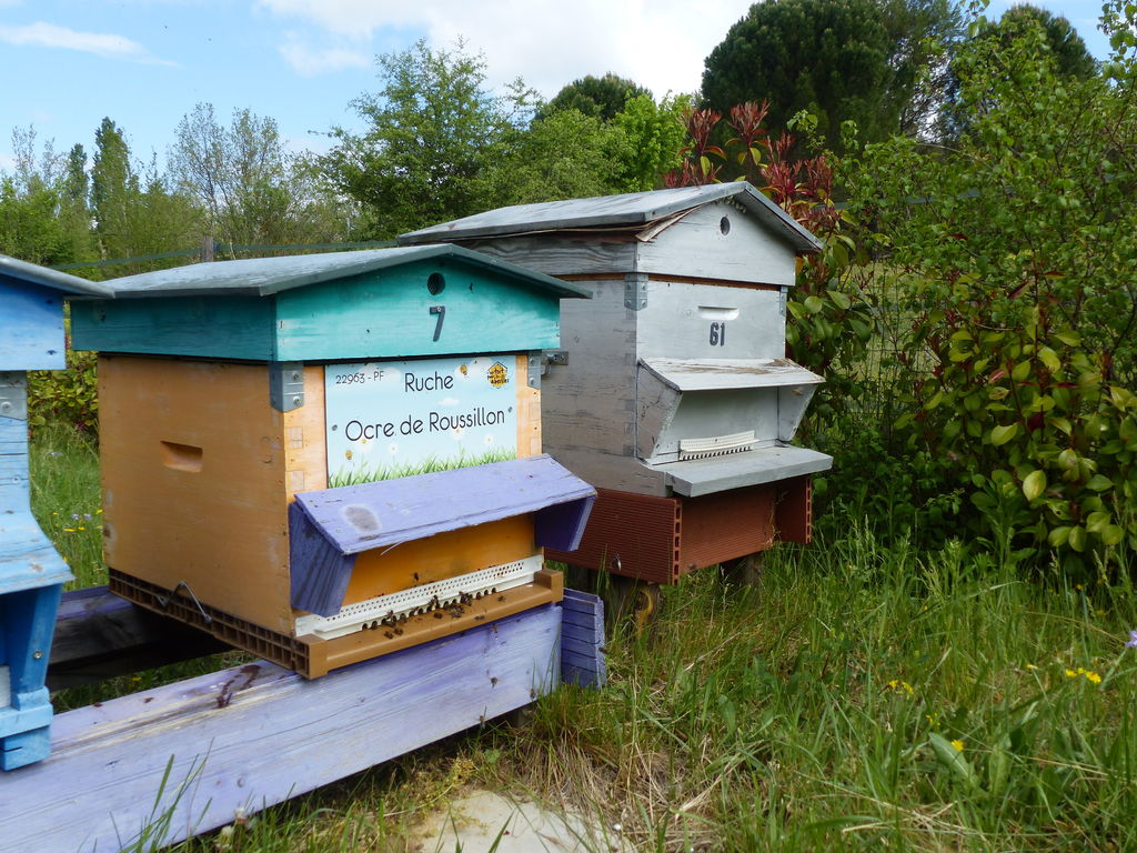 La ruche Ocre de Roussillon