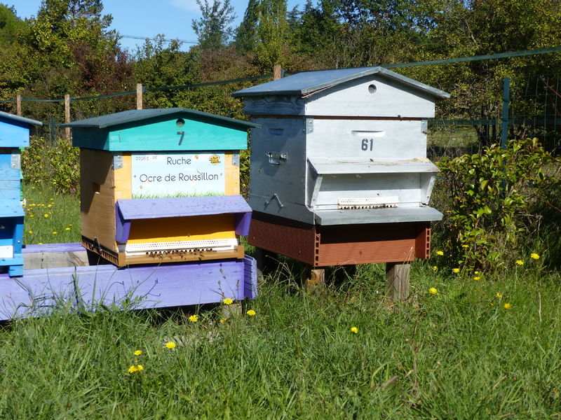 La ruche Ocre de Roussillon