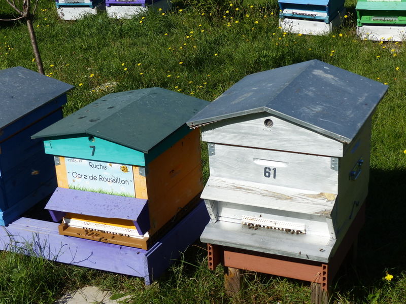 La ruche Ocre de Roussillon