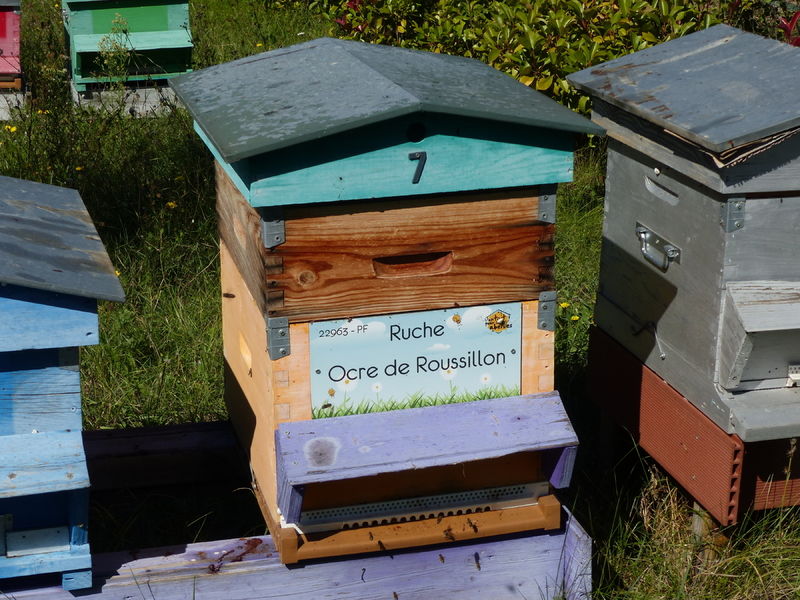 La ruche Ocre de Roussillon