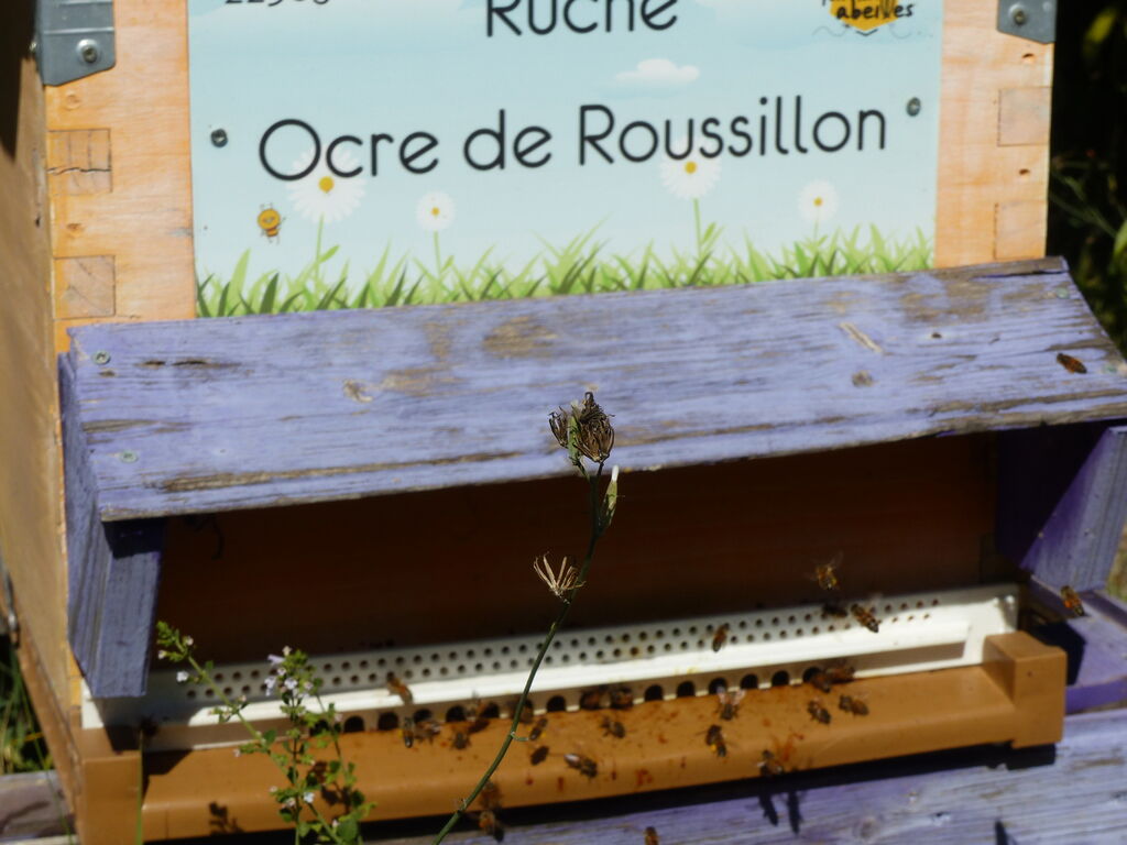 La ruche Ocre de Roussillon