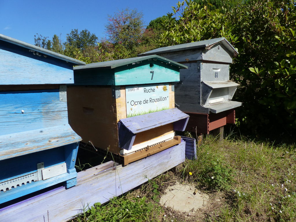 La ruche Ocre de Roussillon