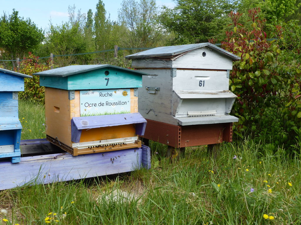 La ruche Ocre de Roussillon