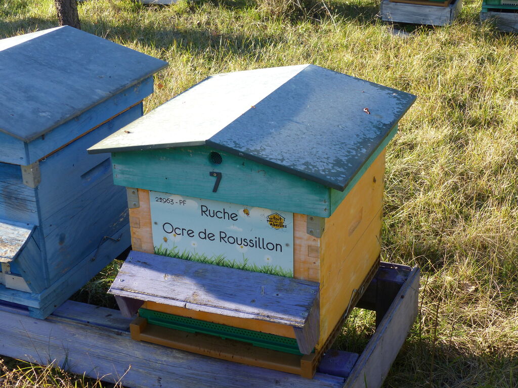 La ruche Ocre de Roussillon