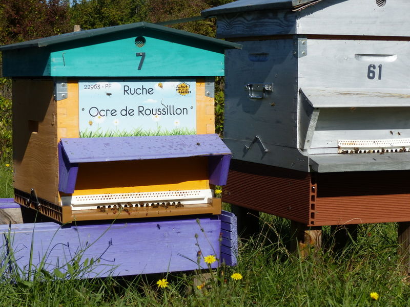 La ruche Ocre de Roussillon