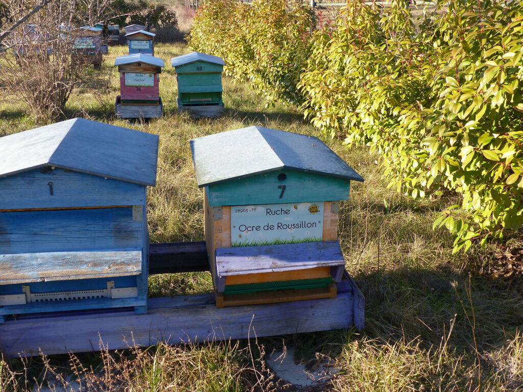 La ruche Ocre de Roussillon
