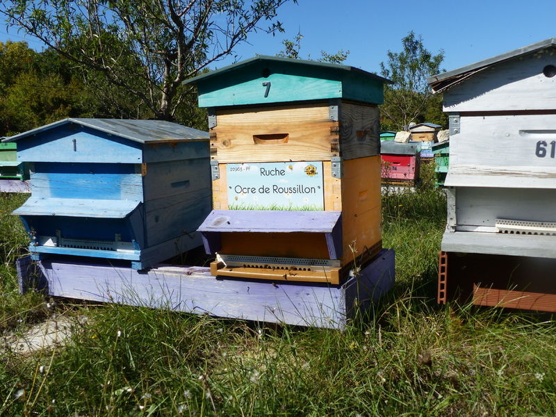 La ruche Ocre de Roussillon