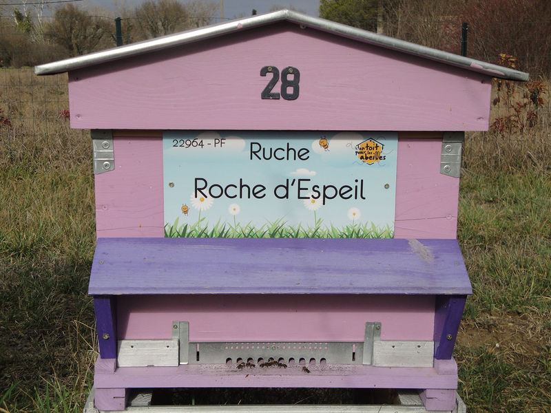 La ruche Roche d