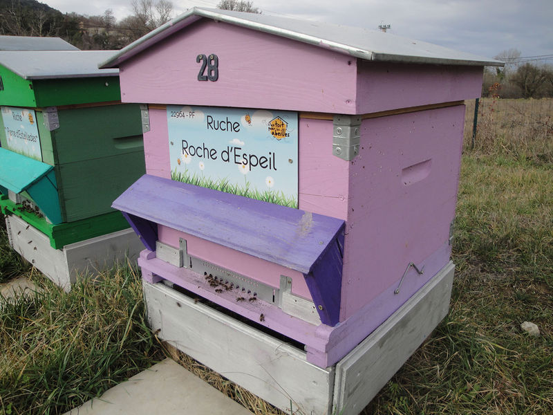 La ruche Roche d