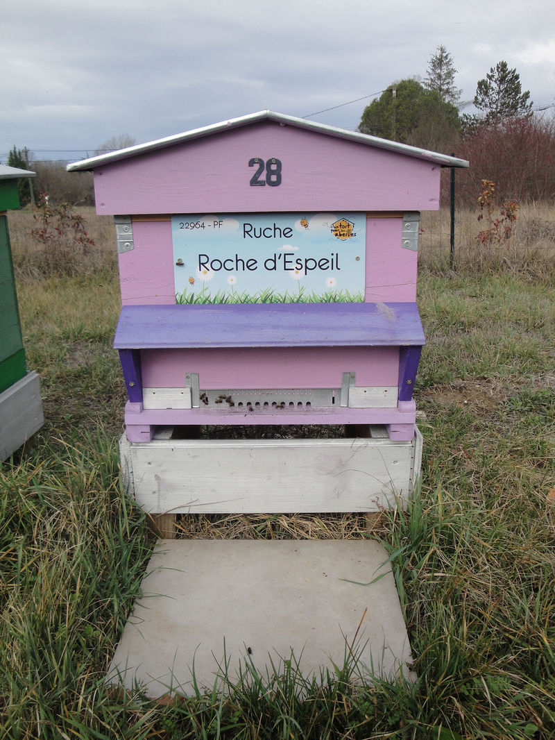 La ruche Roche d