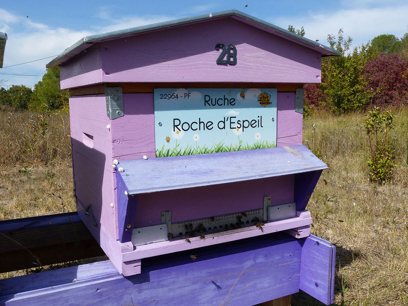 La ruche Roche d