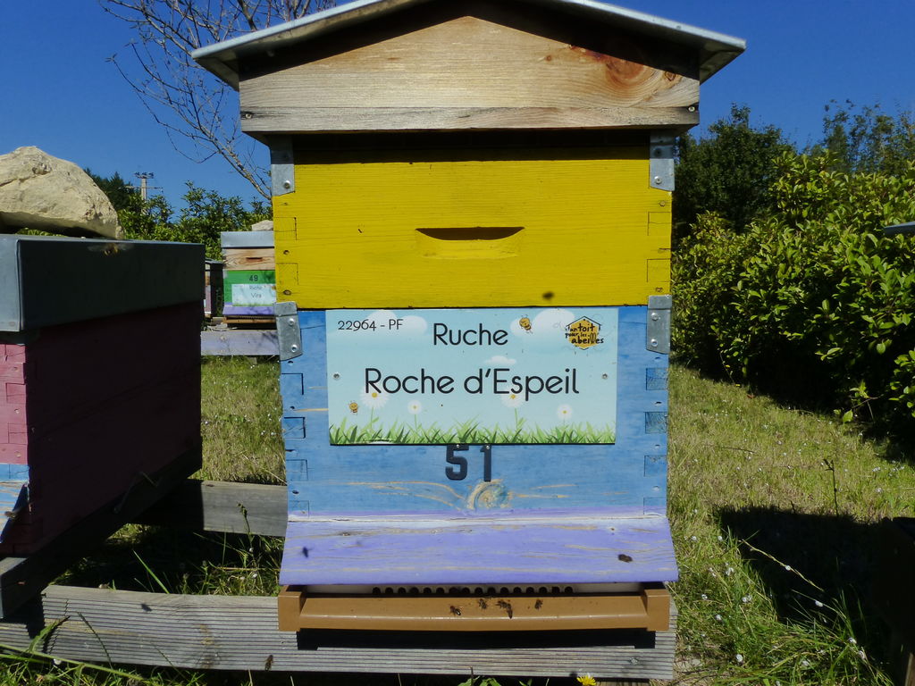 La ruche Roche d