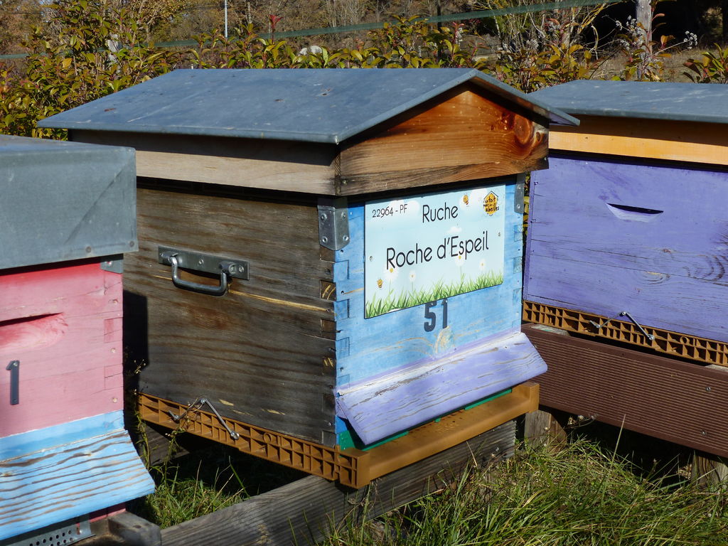 La ruche Roche d