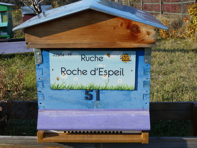 La ruche Roche d
