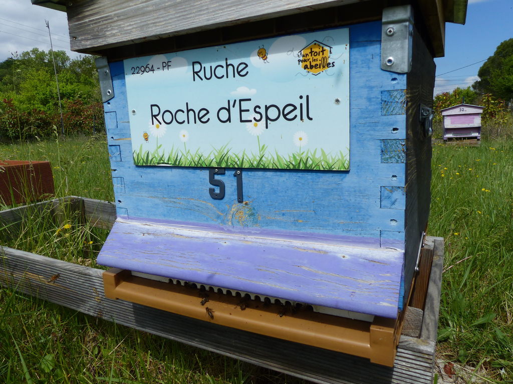 La ruche Roche d