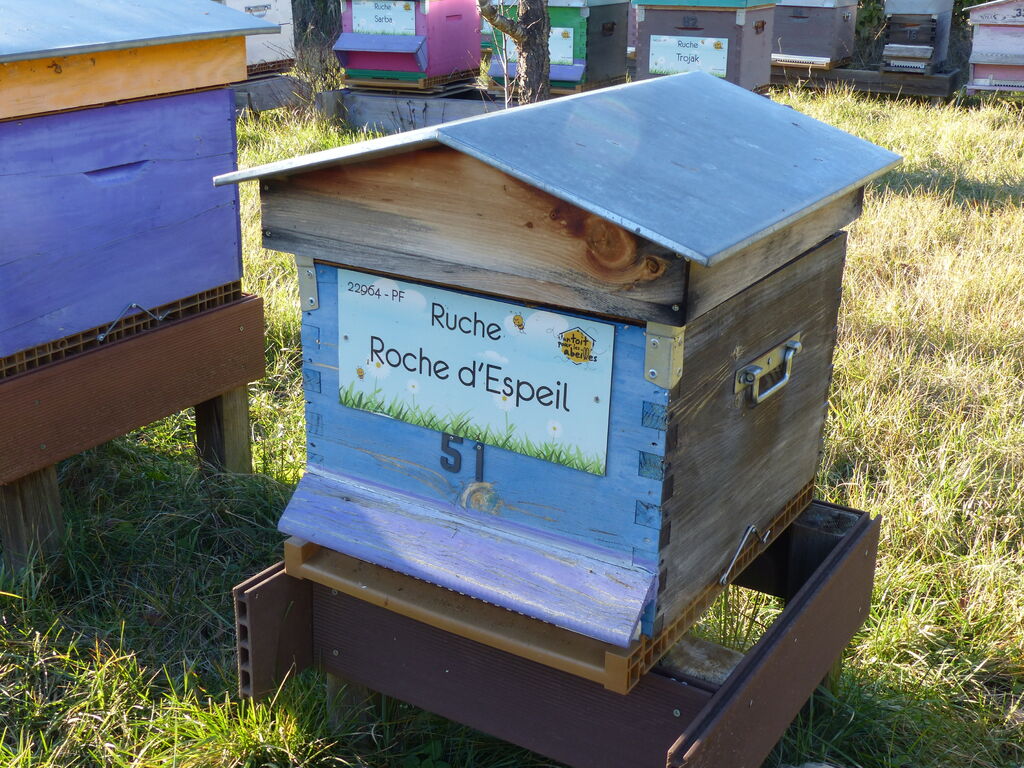 La ruche Roche d