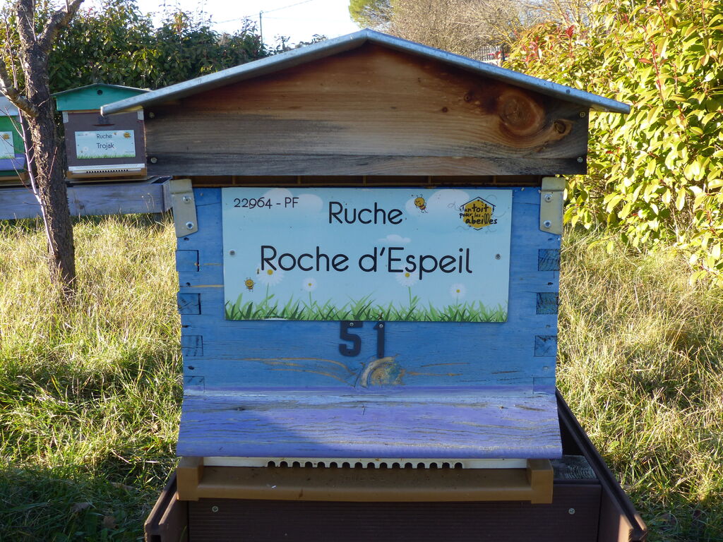 La ruche Roche d