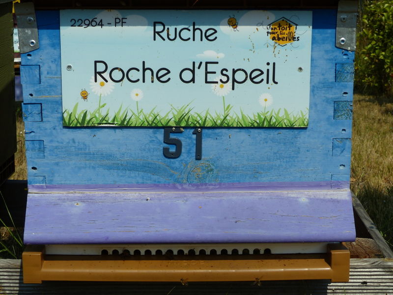 La ruche Roche d