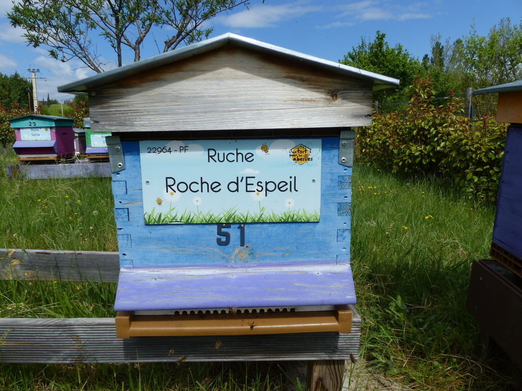 La ruche Roche d