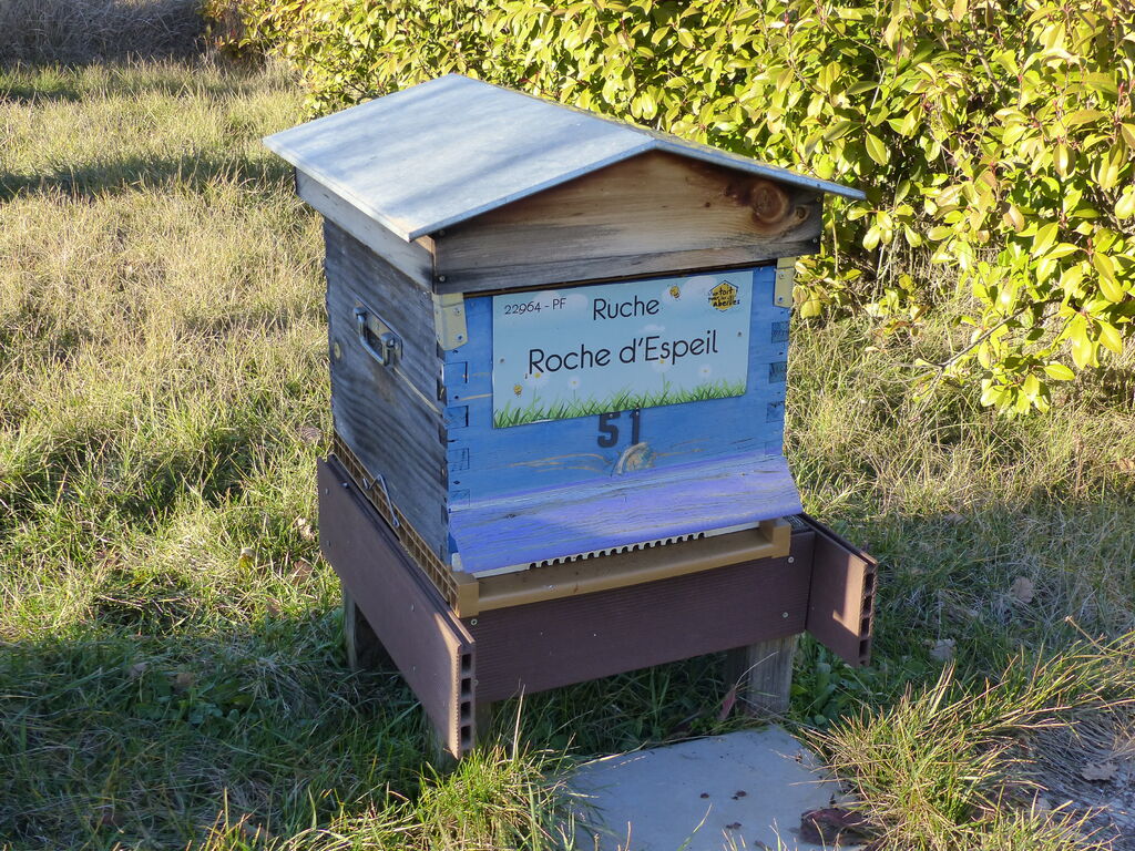 La ruche Roche d