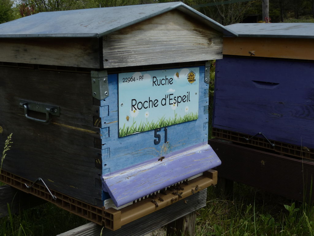 La ruche Roche d