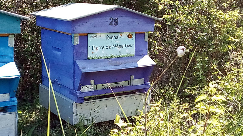 La ruche Pierre de Ménerbes