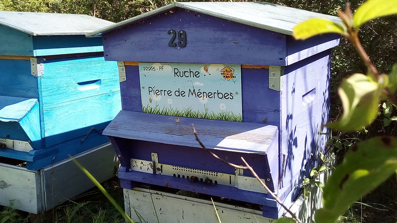 La ruche Pierre de Ménerbes