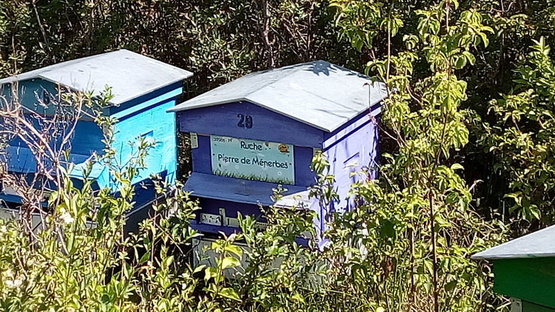 La ruche Pierre de Ménerbes