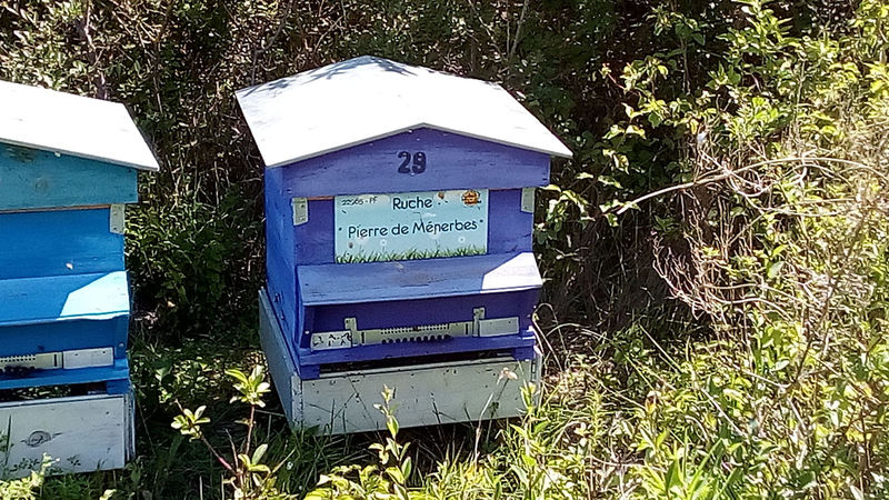 La ruche Pierre de Ménerbes