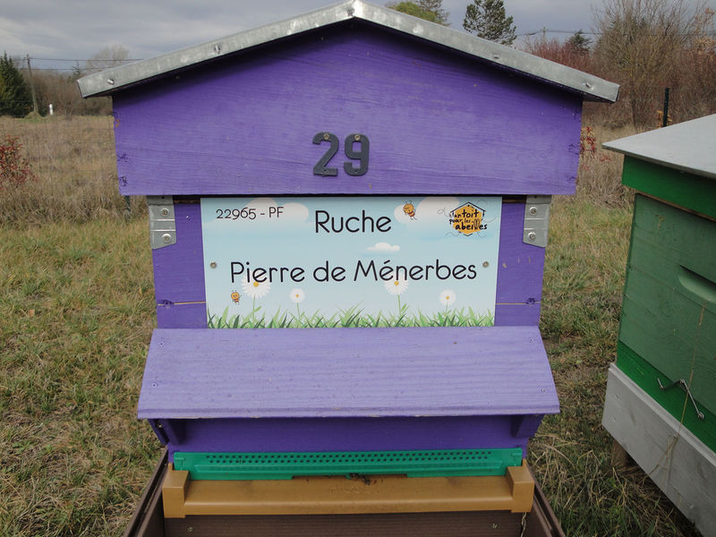 La ruche Pierre de Ménerbes