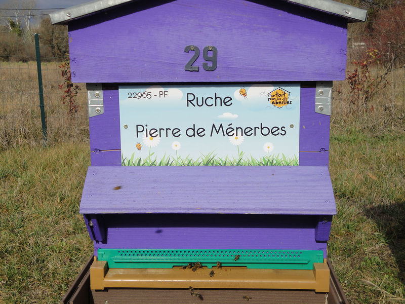 La ruche Pierre de Ménerbes