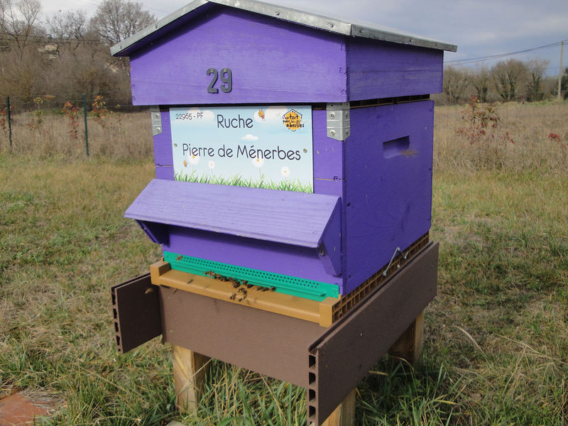 La ruche Pierre de Ménerbes