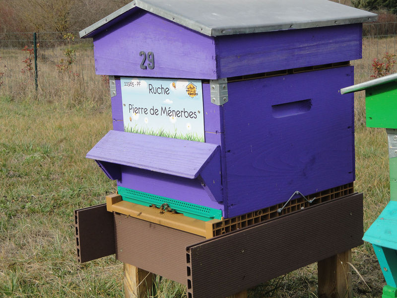 La ruche Pierre de Ménerbes