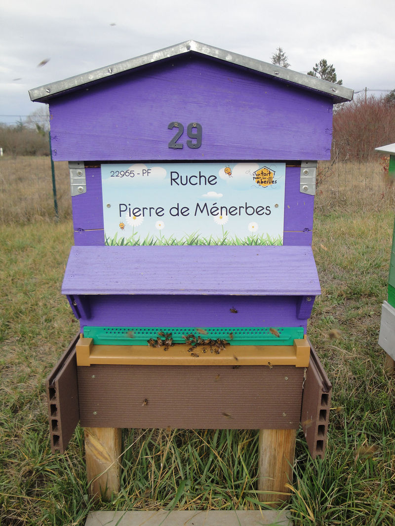 La ruche Pierre de Ménerbes
