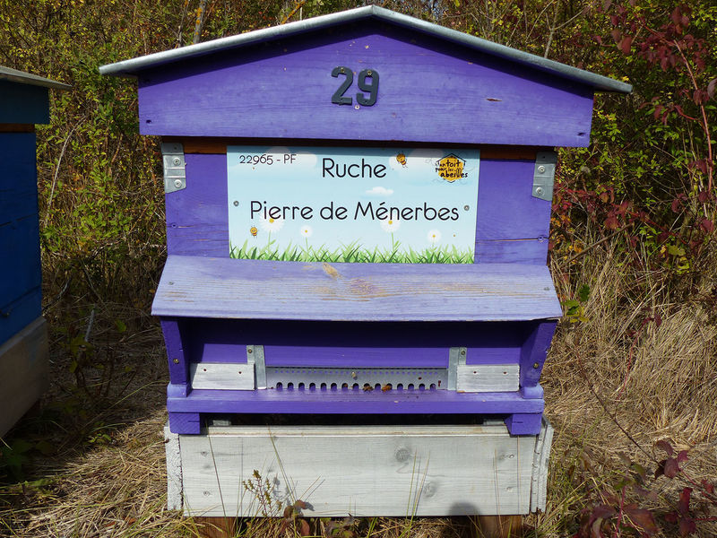 La ruche Pierre de Ménerbes