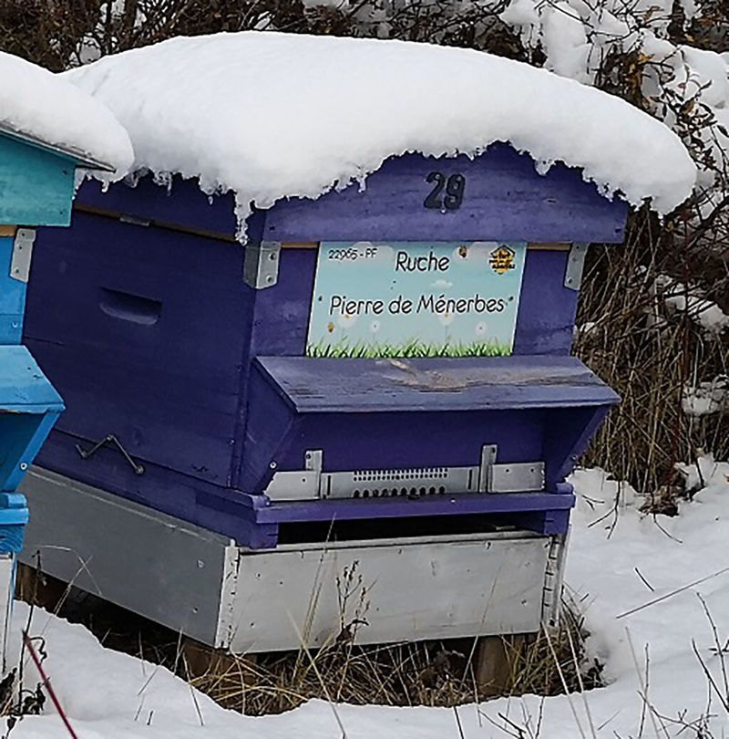 La ruche Pierre de Ménerbes