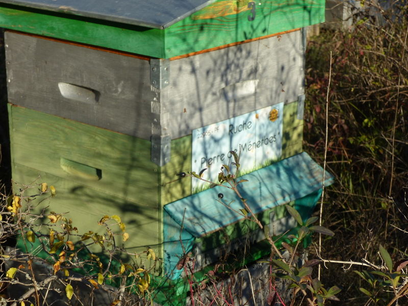 La ruche Pierre de Ménerbes