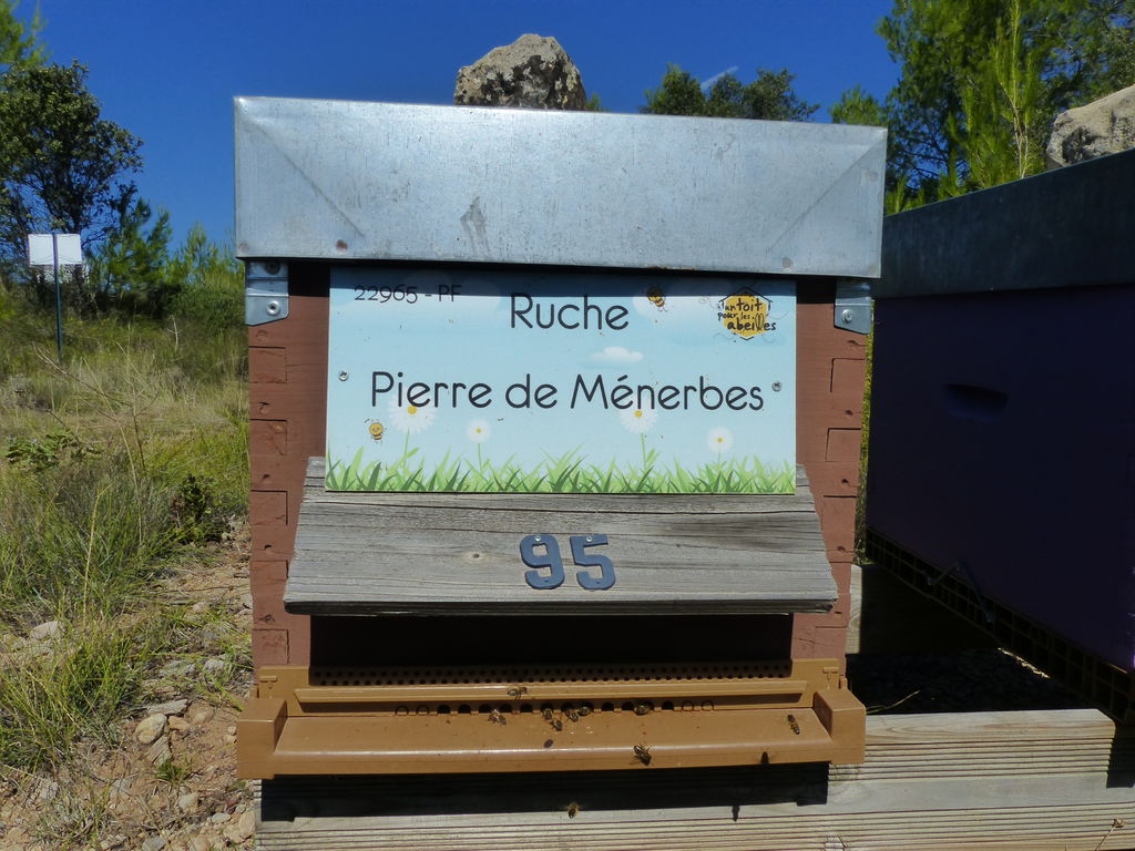 La ruche Pierre de Ménerbes