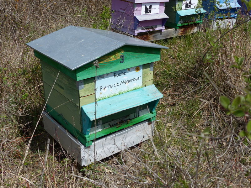 La ruche Pierre de Ménerbes