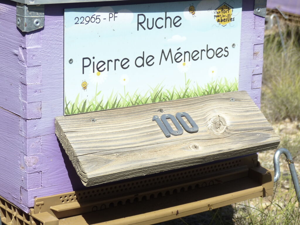 La ruche Pierre de Ménerbes