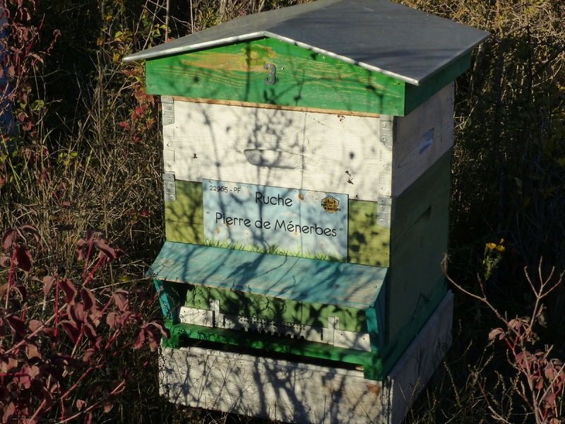 La ruche Pierre de Ménerbes