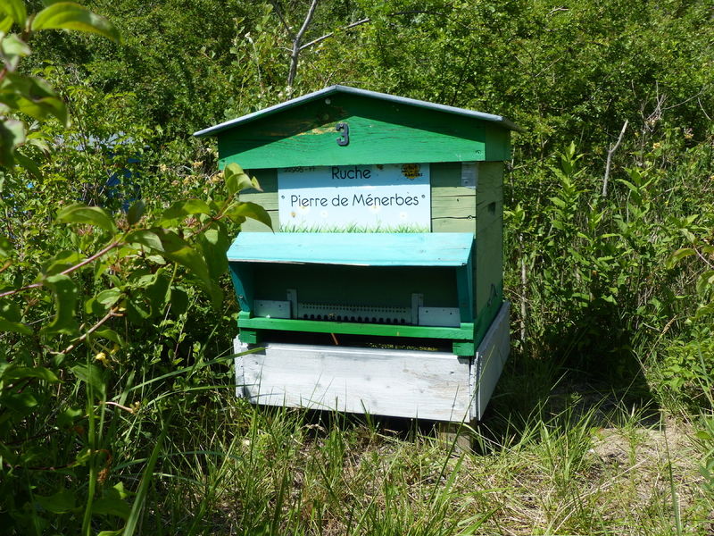 La ruche Pierre de Ménerbes