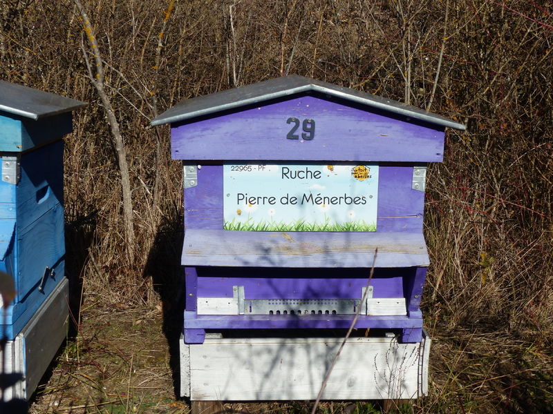 La ruche Pierre de Ménerbes