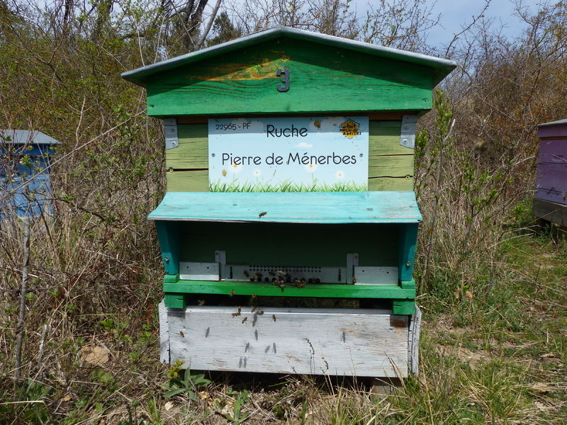 La ruche Pierre de Ménerbes