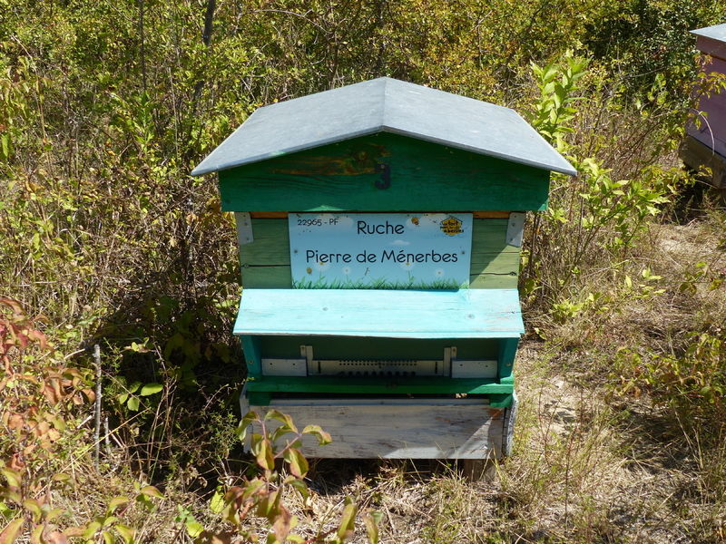 La ruche Pierre de Ménerbes