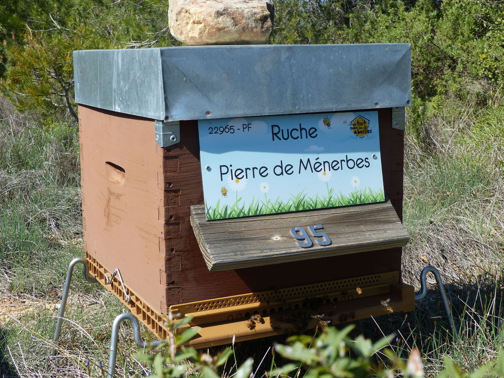 La ruche Pierre de Ménerbes