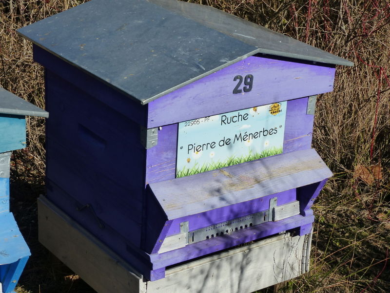 La ruche Pierre de Ménerbes