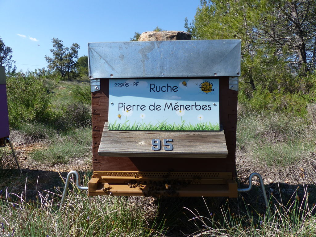 La ruche Pierre de Ménerbes